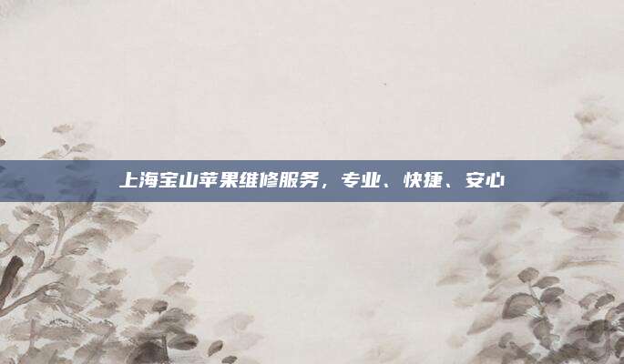 上海宝山苹果维修服务,专业、快捷、安心