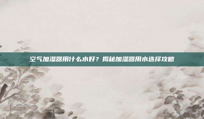 空气加湿器用什么水好?揭秘加湿器用水选择攻略