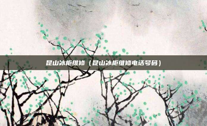 昆山冰柜维修(昆山冰柜维修电话号码)