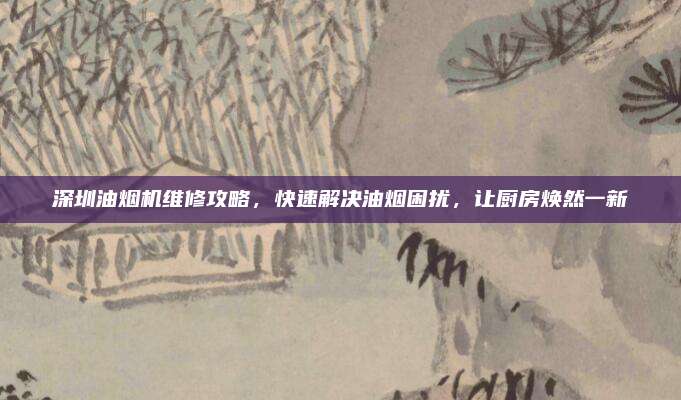 深圳油烟机维修攻略,快速解决油烟困扰,让厨房焕然一新