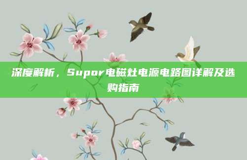 深度解析，Supor电磁灶电源电路图详解及选购指南