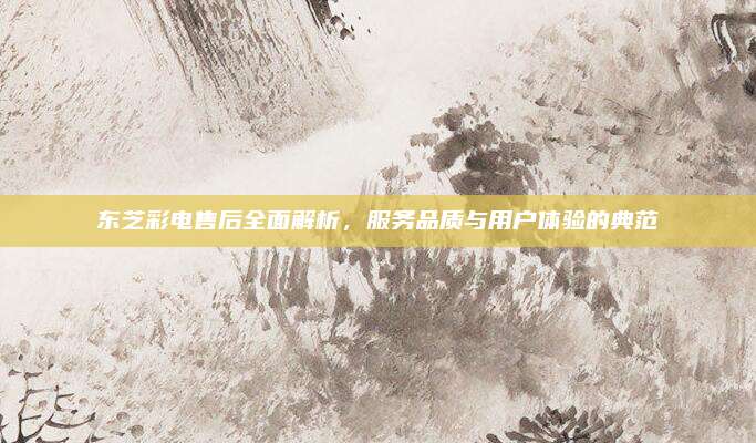 东芝彩电售后全面解析,服务品质与用户体验的典范