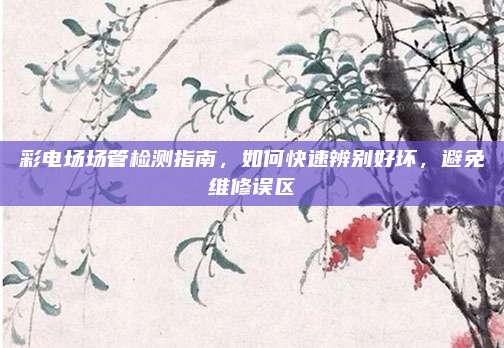 彩电场场管检测指南,如何快速辨别好坏,避免维修误区