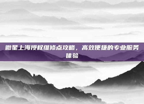 微星上海授权维修点攻略,高效便捷的专业服务体验