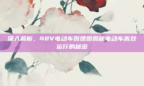深入解析,48V电动车原理图揭秘电动车高效运行的秘密