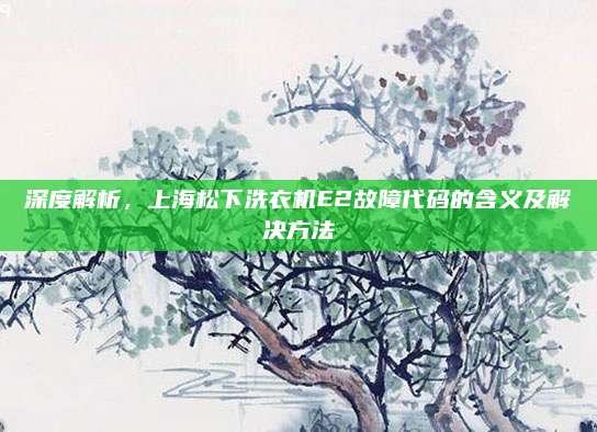 深度解析,上海松下洗衣机E2故障代码的含义及解决方法