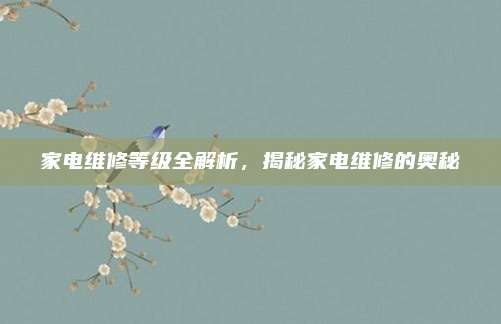 家电维修等级全解析,揭秘家电维修的奥秘