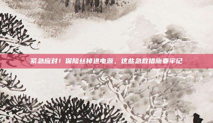紧急应对!保险丝掉进电源,这些急救措施要牢记