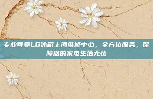 专业可靠LG冰箱上海维修中心，全方位服务，保障您的家电生活无忧