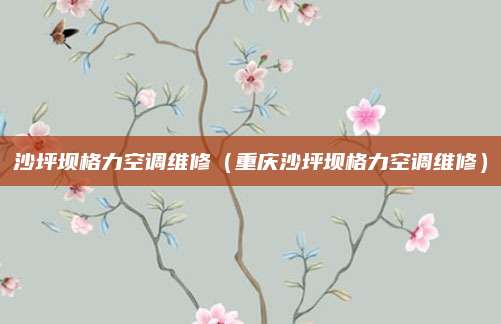 沙坪坝格力空调维修（重庆沙坪坝格力空调维修）