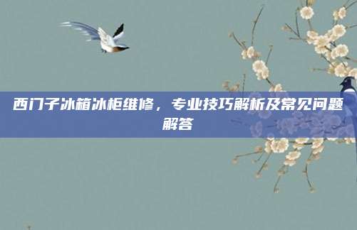 西门子冰箱冰柜维修,专业技巧解析及常见问题解答
