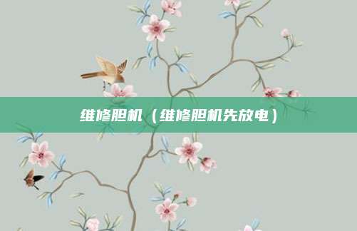 维修胆机(维修胆机先放电)