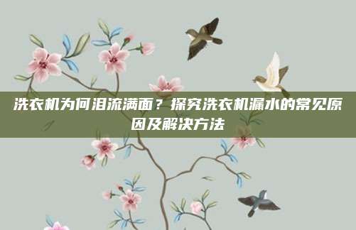 洗衣机为何泪流满面?探究洗衣机漏水的常见原因及解决方法