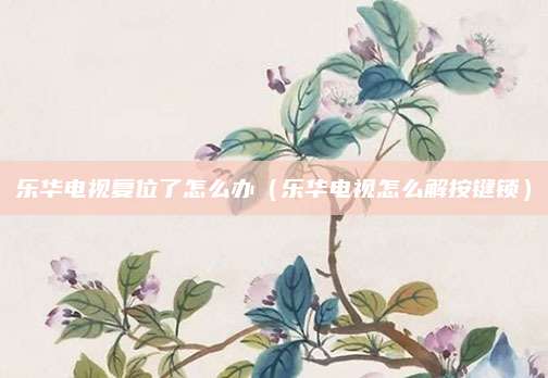 乐华电视复位了怎么办（乐华电视怎么解按键锁）
