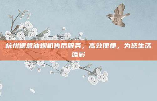杭州德意油烟机售后服务,高效便捷,为您生活添彩