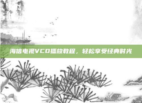 海信电视VCD播放教程,轻松享受经典时光