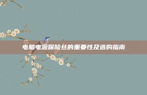 电脑电源保险丝的重要性及选购指南