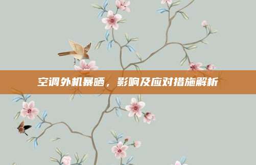 空调外机暴晒,影响及应对措施解析