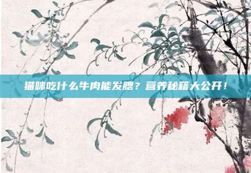 猫咪吃什么牛肉能发腮?营养秘籍大公开!