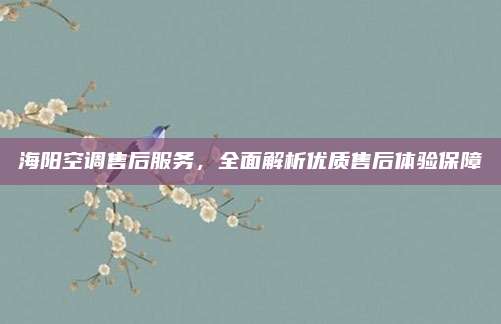 海阳空调售后服务,全面解析优质售后体验保障