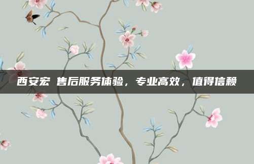 西安宏碁售后服务体验,专业高效,值得信赖