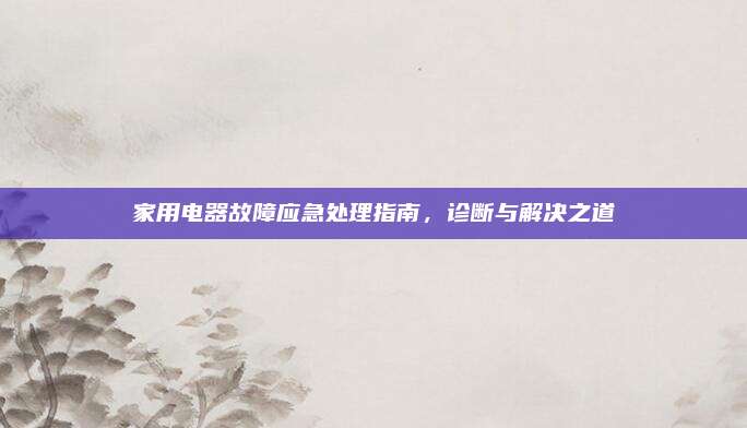 家用电器故障应急处理指南,诊断与解决之道