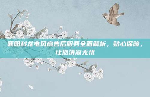 襄阳科龙电风扇售后服务全面解析,贴心保障,让您清凉无忧