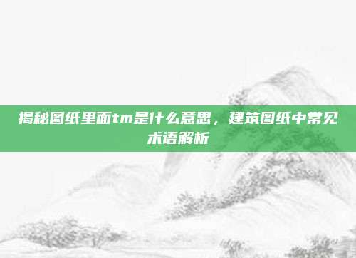 揭秘图纸里面tm是什么意思,建筑图纸中常见术语解析
