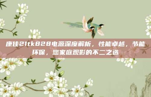 康佳21tk828电源深度解析,性能卓越,节能环保,您家庭观影的不二之选