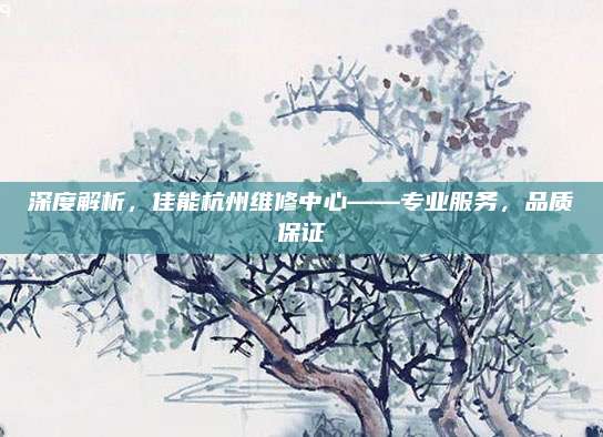 深度解析,佳能杭州维修中心——专业服务,品质保证