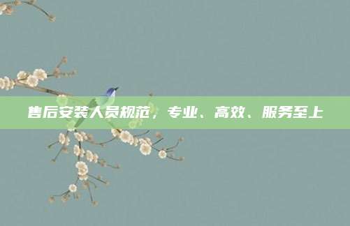 售后安装人员规范,专业、高效、服务至上