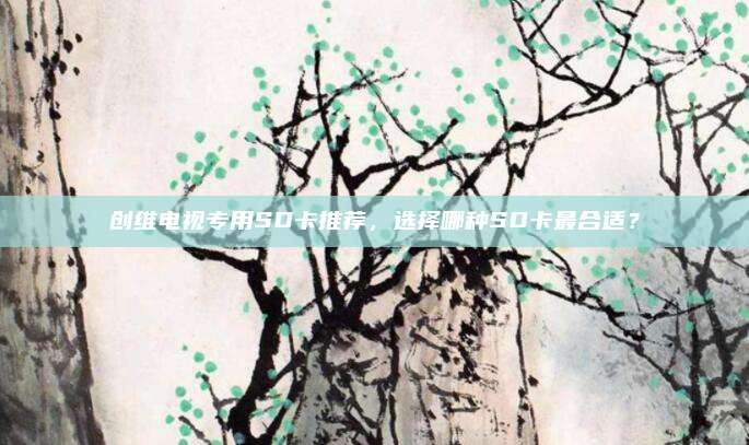 创维电视专用SD卡推荐,选择哪种SD卡最合适?