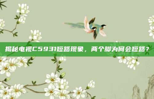 揭秘电视C5931短路现象,两个脚为何会短路?