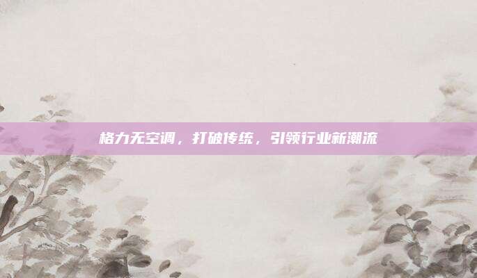 格力无空调,打破传统,引领行业新潮流