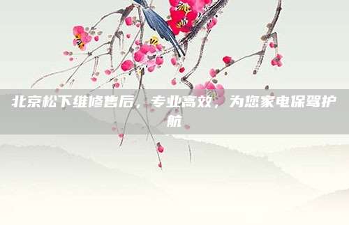 北京松下维修售后,专业高效,为您家电保驾护航
