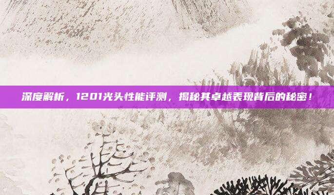 深度解析,1201光头性能评测,揭秘其卓越表现背后的秘密!