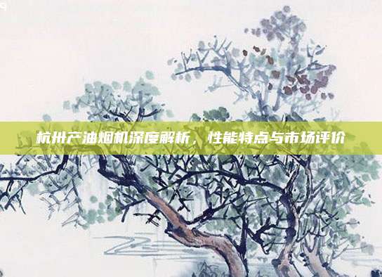 杭卅产油烟机深度解析,性能特点与市场评价