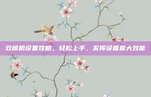 双模机设置攻略,轻松上手,发挥设备最大效能