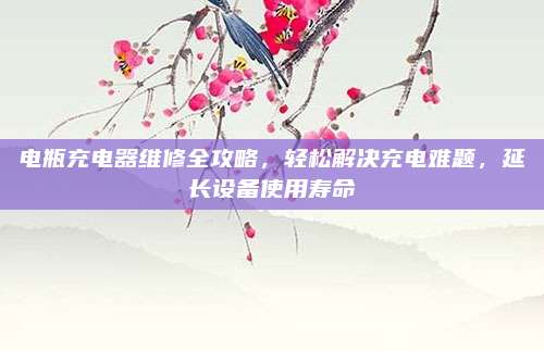 电瓶充电器维修全攻略,轻松解决充电难题,延长设备使用寿命