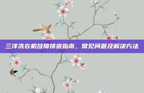 三洋洗衣机故障排查指南,常见问题及解决方法