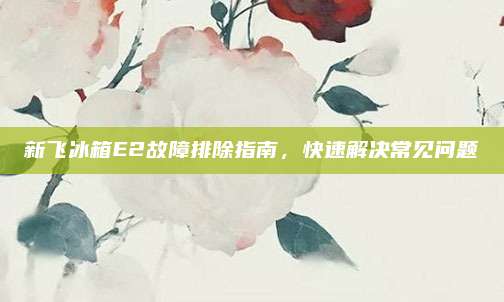 新飞冰箱E2故障排除指南,快速解决常见问题
