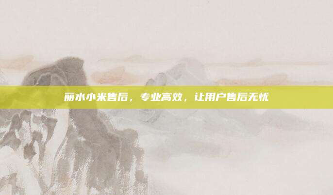 丽水小米售后,专业高效,让用户售后无忧