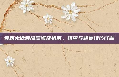 音箱无低音故障解决指南，排查与修复技巧详解
