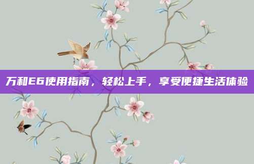 万和E6使用指南,轻松上手,享受便捷生活体验