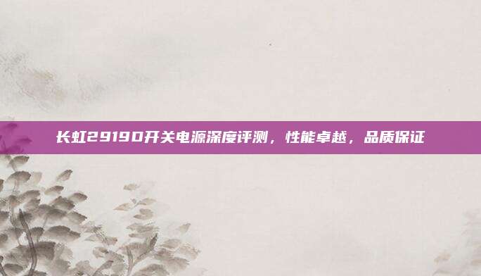 长虹2919D开关电源深度评测,性能卓越,品质保证