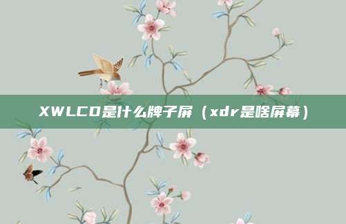 XWLCD是什么牌子屏（xdr是啥屏幕）