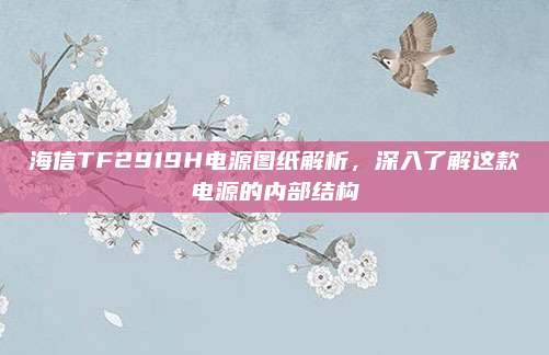 海信TF2919H电源图纸解析,深入了解这款电源的内部结构