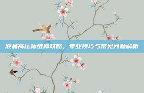 液晶高压板维修攻略,专业技巧与常见问题解析