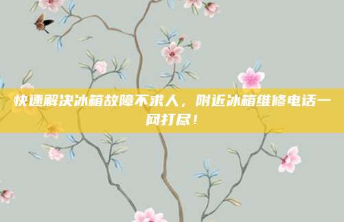 快速解决冰箱故障不求人,附近冰箱维修电话一网打尽!