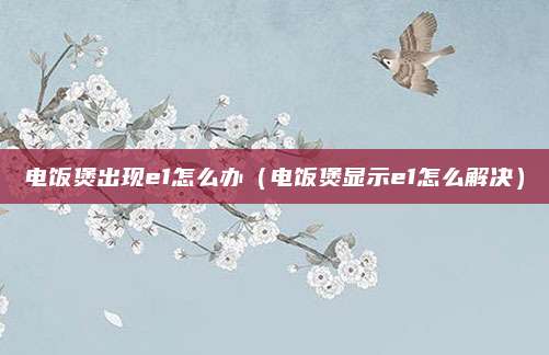 电饭煲出现e1怎么办（电饭煲显示e1怎么解决）
